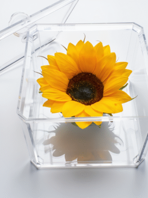 Caja girasol XL